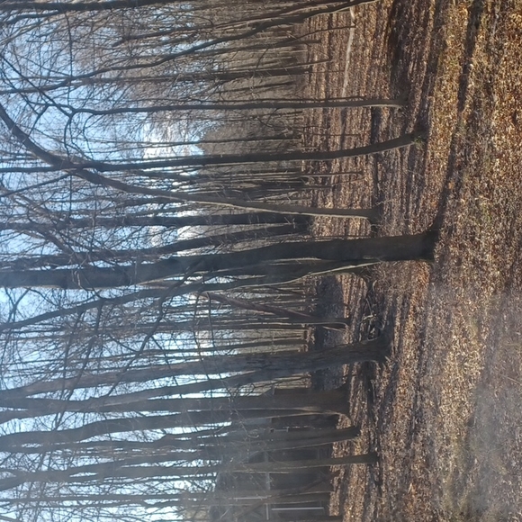 Meet your Posher, Blair - Picture 1 of 1